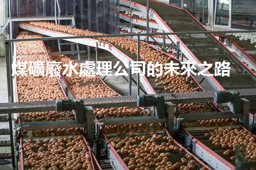 煤礦廢水處理公司的未來之路：挑戰(zhàn)與機遇并存！